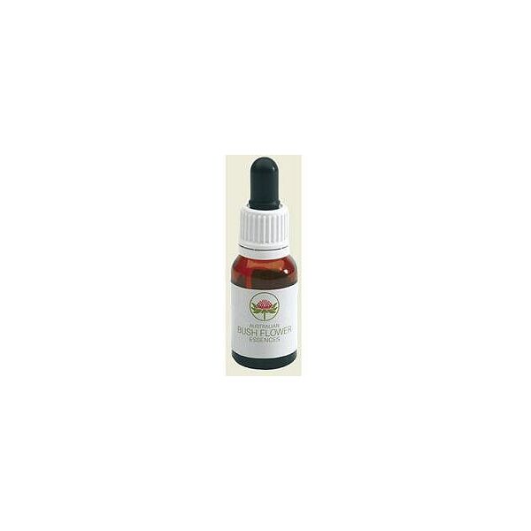 bush biotherapies pty ltd silver princess australian15ml