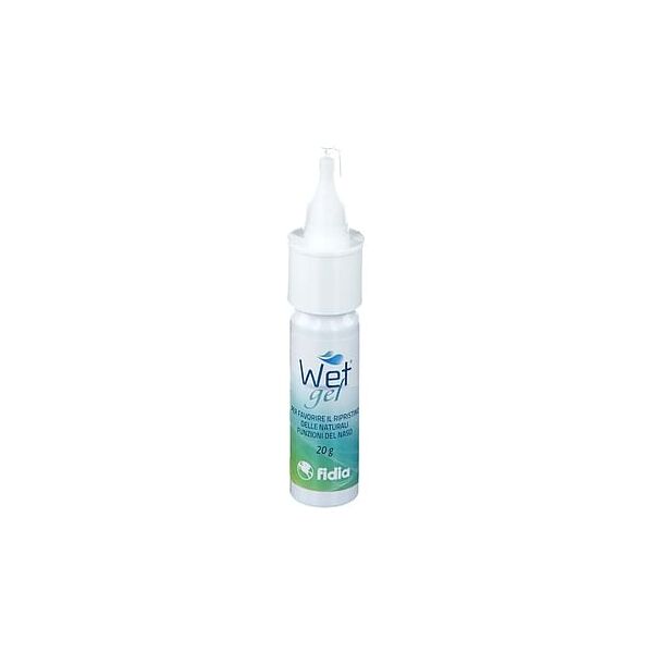 fidia farmaceutici spa wet gel 20 g