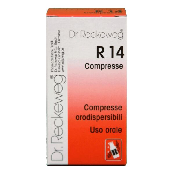 dr.reckeweg & co. gmbh reckeweg r14 100 compresse