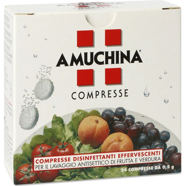 angelini (a.c.r.a.f.) spa amuchina 24 compresse 1g