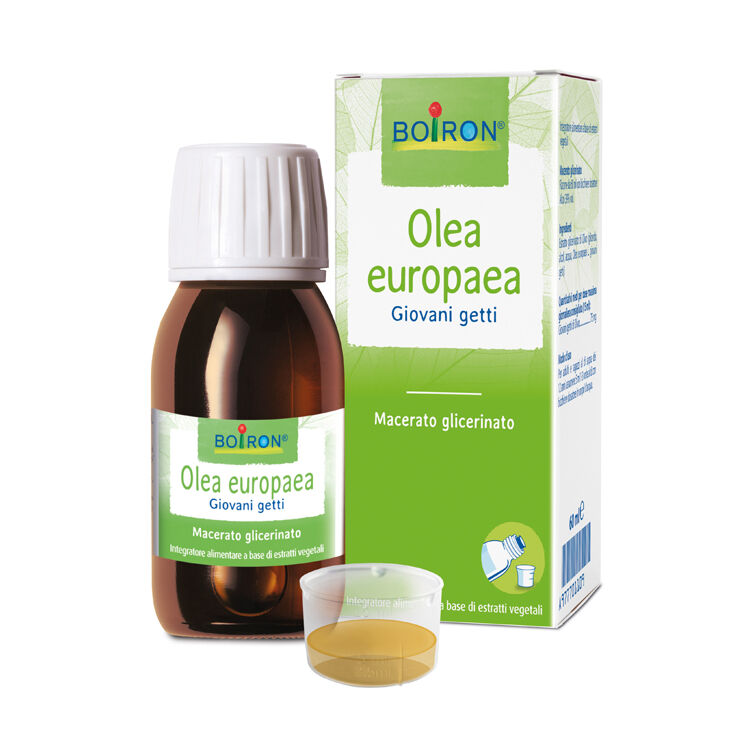 boiron srl olea europaea mg 60ml int