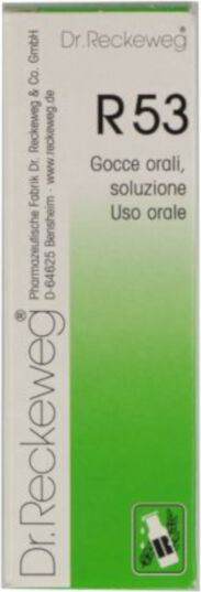 dr.reckeweg & co. gmbh reckeweg r53 gocce 22ml