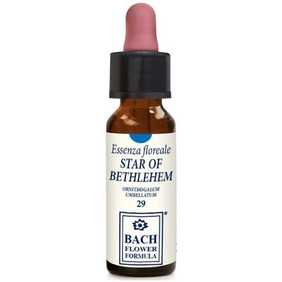 Erba Vita Stella di Betlemme - Soluzione Floreale 10ml Erba Vita Stella di Betlemme - Soluzione Floreale 10ml
