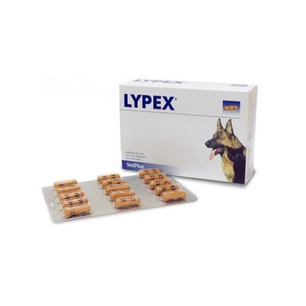 vetplus ltd lypex 60 cps