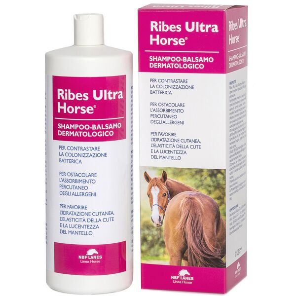 n.b.f. lanes srl ribes horse shampoo bals ultra