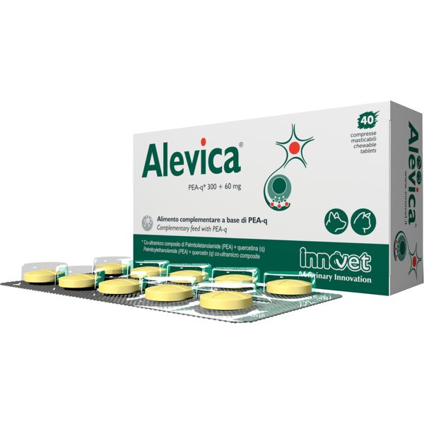 innovet italia srl alevica 40 cpr