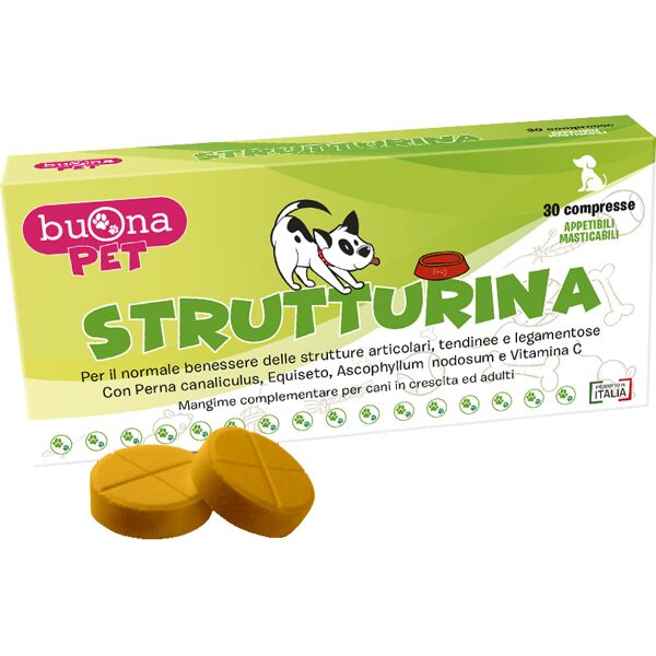 buona spa societa' benefit strutturina 30 cpr