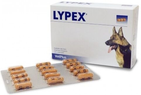 Vetplus Ltd Lypex 60 Cps