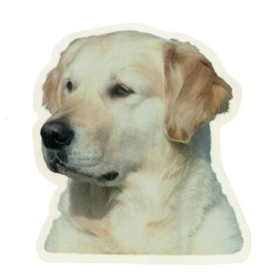 Camon Golden Retriever 213 Testa - Gioco per cane Camon Golden Retriever 213 Testa - Gioco per cane