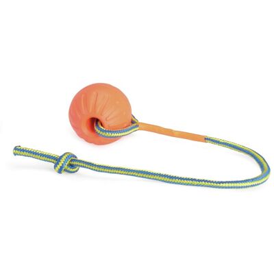Camon Gioco Cane Pal Eva 90mm Ara Camon Gioco Cane Pal Eva 90mm Ara