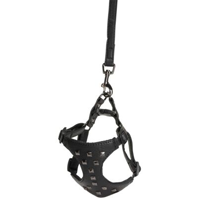 Set Collare e Guinzaglio per Cani Camon - Similpelle, Nero, Taglia L Set Collare e Guinzaglio per Cani Camon - Similpelle, Nero, Taglia L