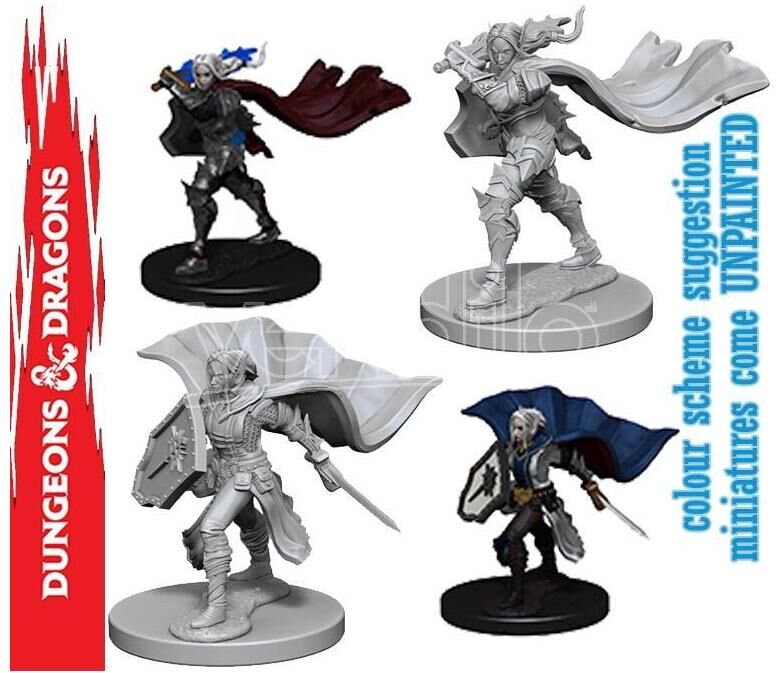 WIZKIDS Wizbambino Pathfinder Dcum Human Female Paladin Gioco Di Ruolo WIZKIDS Wizbambino Pathfinder Dcum Human Female Paladin Gioco Di Ruolo