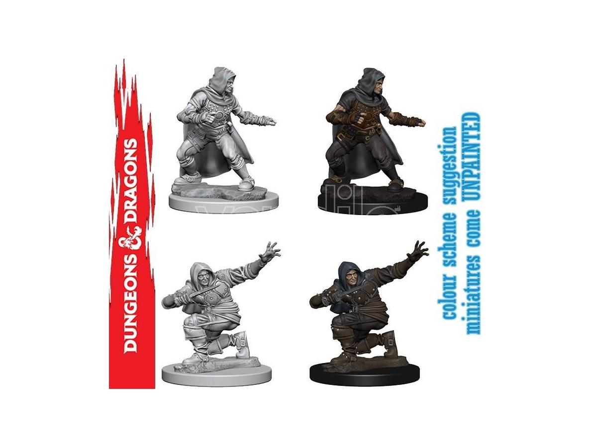 WIZKIDS Wizbambino Pathfinder Dcum Human Male Rogue Gioco Di Ruolo