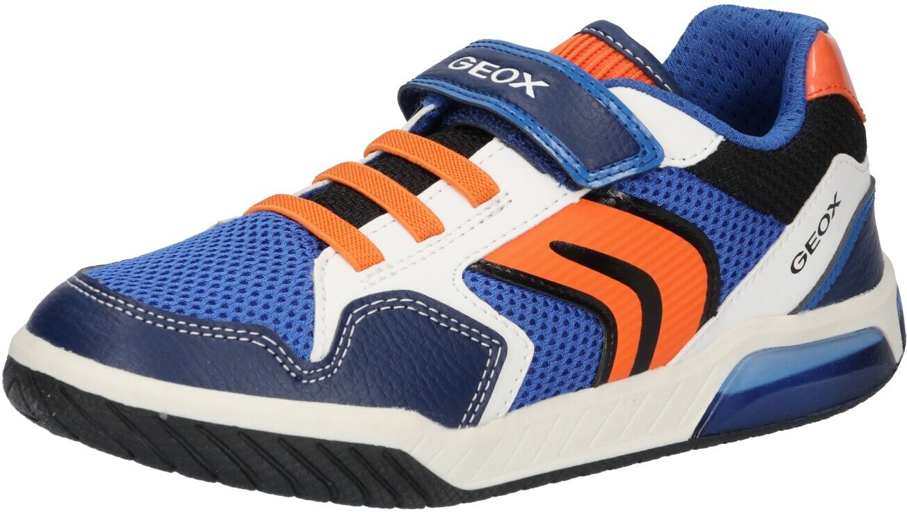 GEOX Sneaker 'Inek' Blu