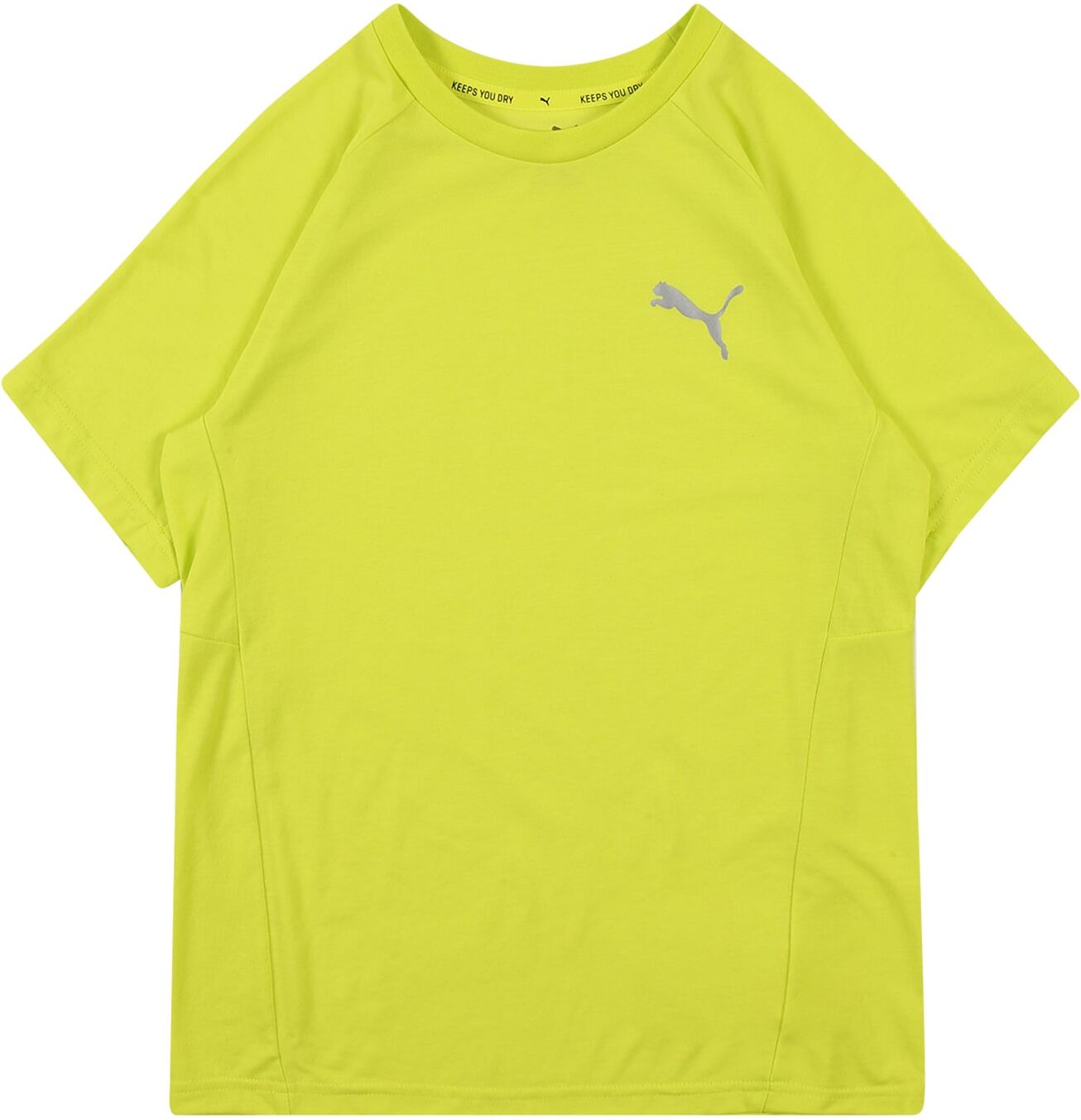 PUMA Maglia funzionale 'Evostripe' Giallo