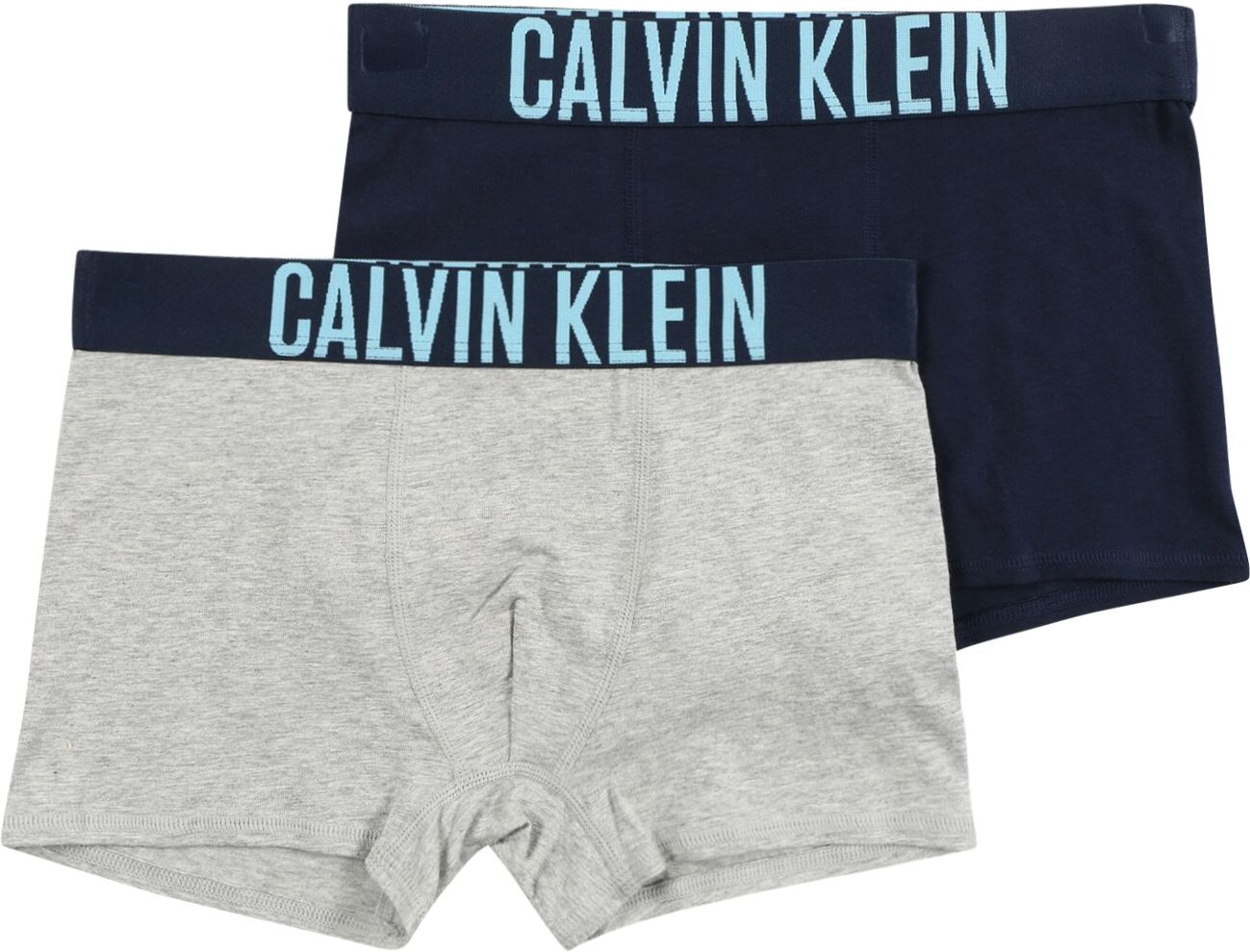 Calvin Klein Underwear Pantaloncini intimi Grigio, Blu