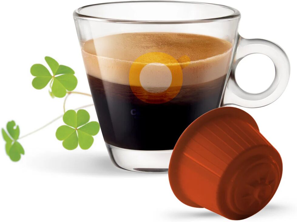 Caffè Bonini 16 Capsule Irish Coffee compatibili con sistema NESCAFÉ® Dolce Gusto®