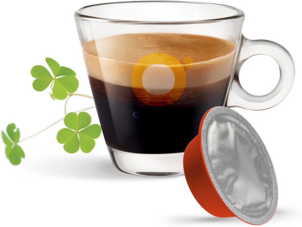 Caffè Bonini 10 Capsule Irish Coffee compatibili con sistema Lavazza a Modo Mio