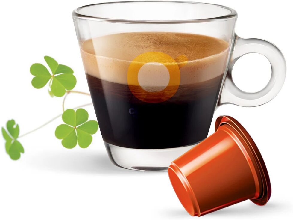 Caffè Bonini 10 Capsule Irish Coffee compatibili con sistema Nespresso®