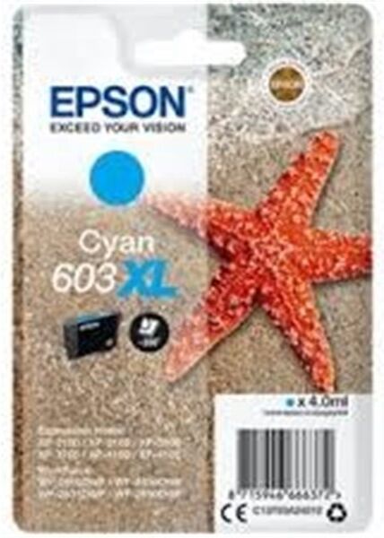 Epson Originale C13T03A24010   ciano