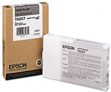 Epson Originale C13T605700   nero light