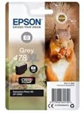 Epson Originale C13T04F64010   grigio foto