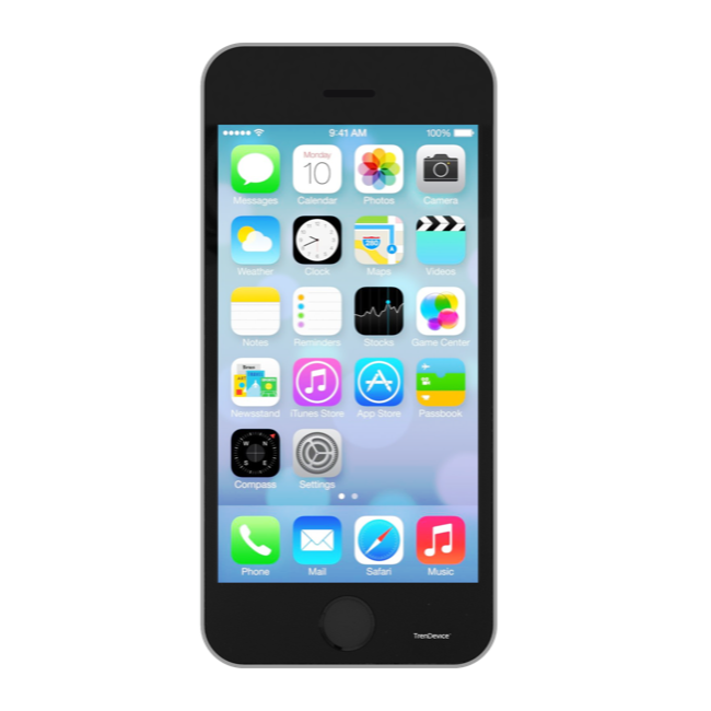 Apple iPhone SE 16 GB Grigio siderale grade A