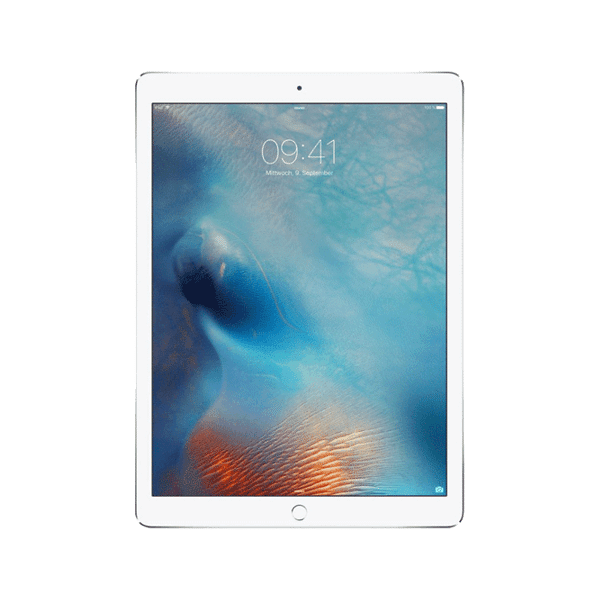 apple ipad 2018 32 gb argento wi-fi + cell grade a