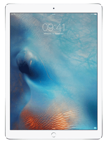 Apple iPad 2017 32 GB Argento Wi-Fi grade A