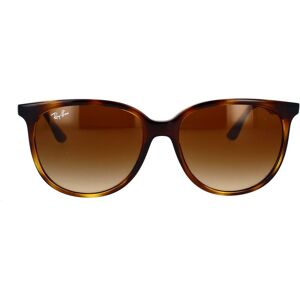 Ray-Ban Occhiali da Sole RB4378 710/13