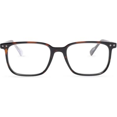 Snob Occhiali da Vista Milano Bitter SNV226 C002-Z con Clip Snob Occhiali da Vista Milano Bitter SNV226 C002-Z con Clip