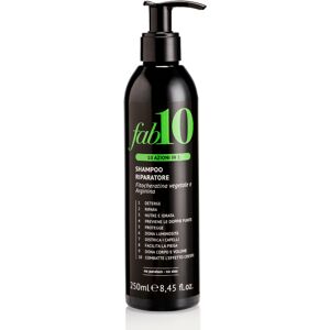 Fab10 Shampoo riparatore 10 in 1