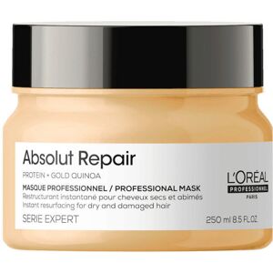 L'Oreal Expert Maschera Absolut Repair