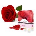 loverspremium petali di rosa e candele led