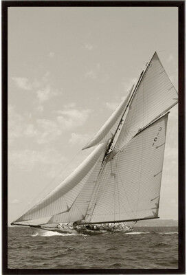 Stampa incorniciata Swift Sailboat 52x77 cm