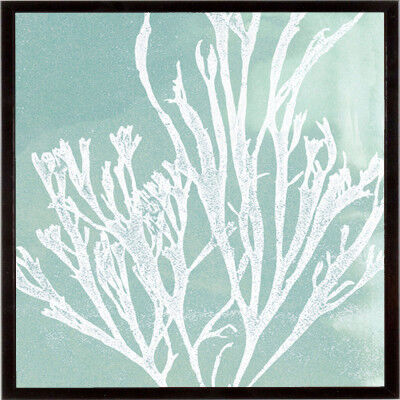 Stampa incorniciata Faded Tangle – Koro  32x32 cm