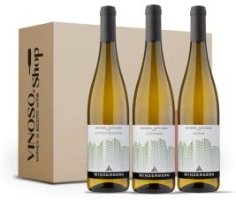 Winzerberg 3 BOTTIGLIE DI BIANCO ITALIANO Esperienza di Alto Adige