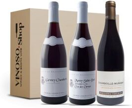 3 BOTTIGLIE DI BORGOGNA ROSSO CÔTE DE NUITS Gevrey Chambertin-Morey Saint Denis-Chambolle Musigny