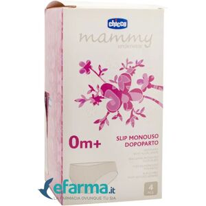 Chicco Md Slip Monouso Taglia 4° Post Parto 4 Slip