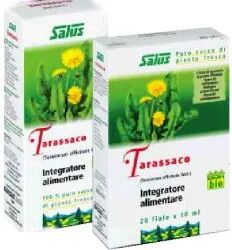 Tarassaco Succo Integratore Digestivo 200 ml