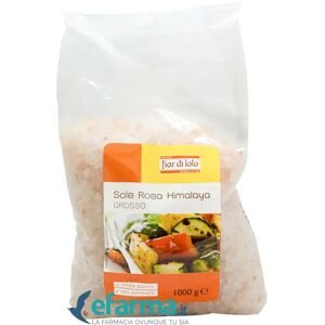 Fior Di Loto Sale Rosa Dell'himalaya Grosso 1 Kg