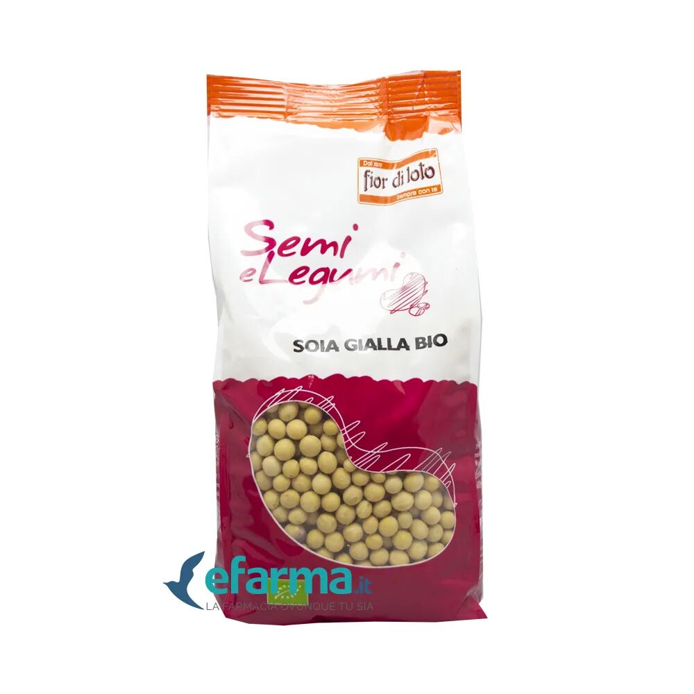 OXXIGENA Fior Di Loto Soia Gialla Biologica 400 g