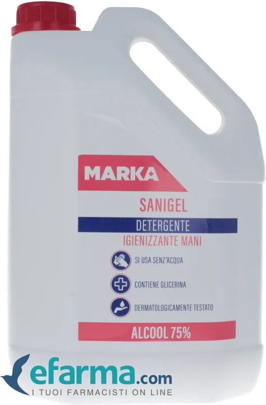 marka sanigel detergente igienizzante mani 5 lt