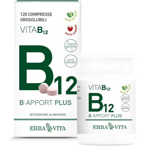 erba vita b-apport plus integratore vitamina b 24 g