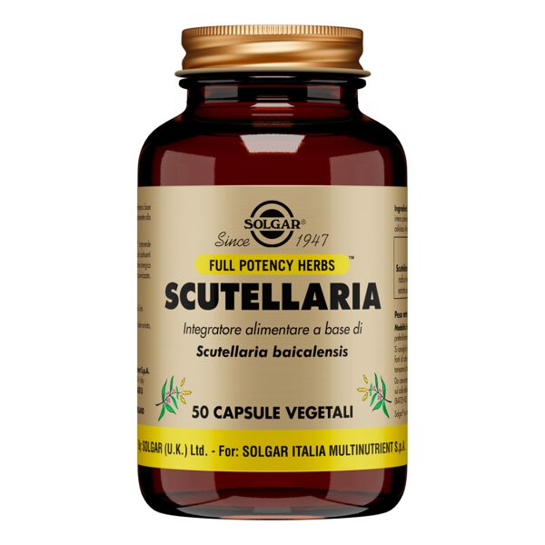 solgar scutellaria integratore 50 capsule vegetali