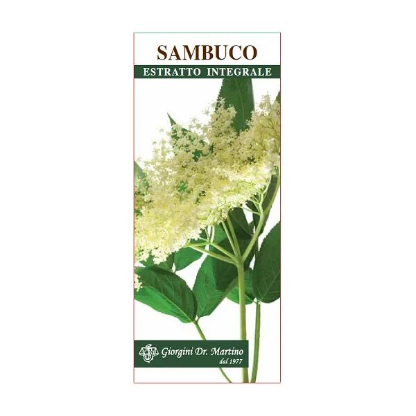 dottor giorgini dr. giorgini sambuco fiori estratto integrale integratore 200 ml