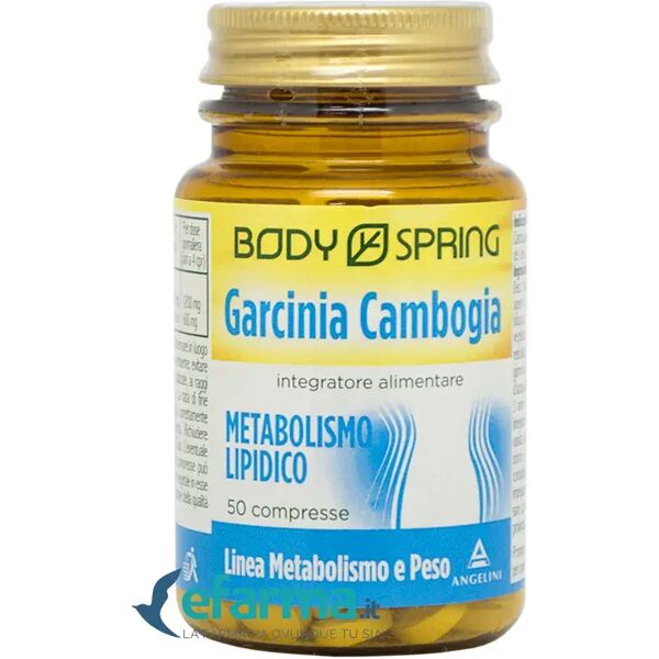 body spring garcinia cambogia integratore metabolismo 50 compresse