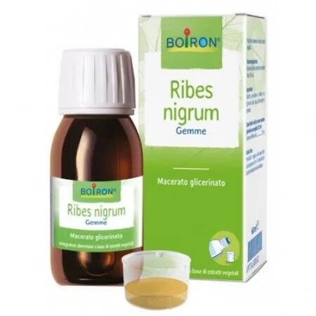 Boiron Ribes Nigrum Gemme Macerato Glicerico 60 ml
