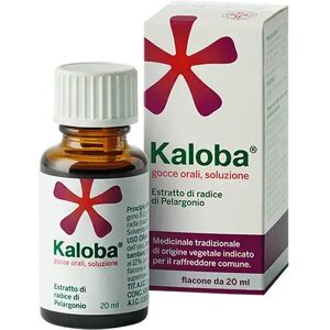 Kaloba Gocce 20mg / 1,5ml Contro Raffreddore Comune 20 Ml