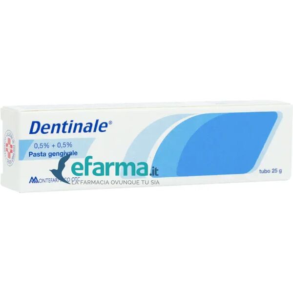 dentinale pasta gengivale bambini 0,5% + 0,5% amilocaina sodio benzoato 25g